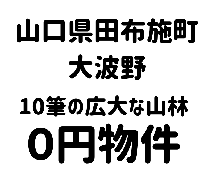 合計で10筆の広大な山林をお譲りします。