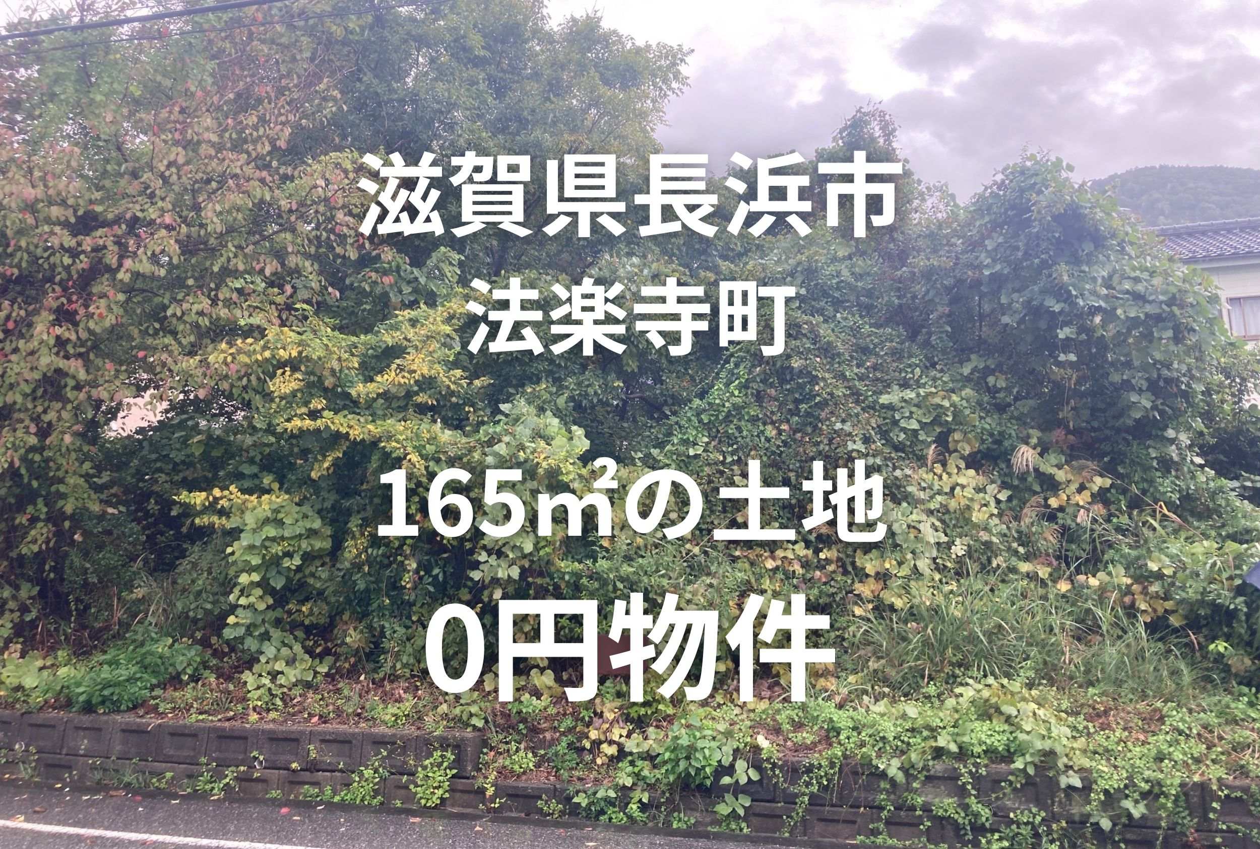 165㎡の土地、お譲りします。
