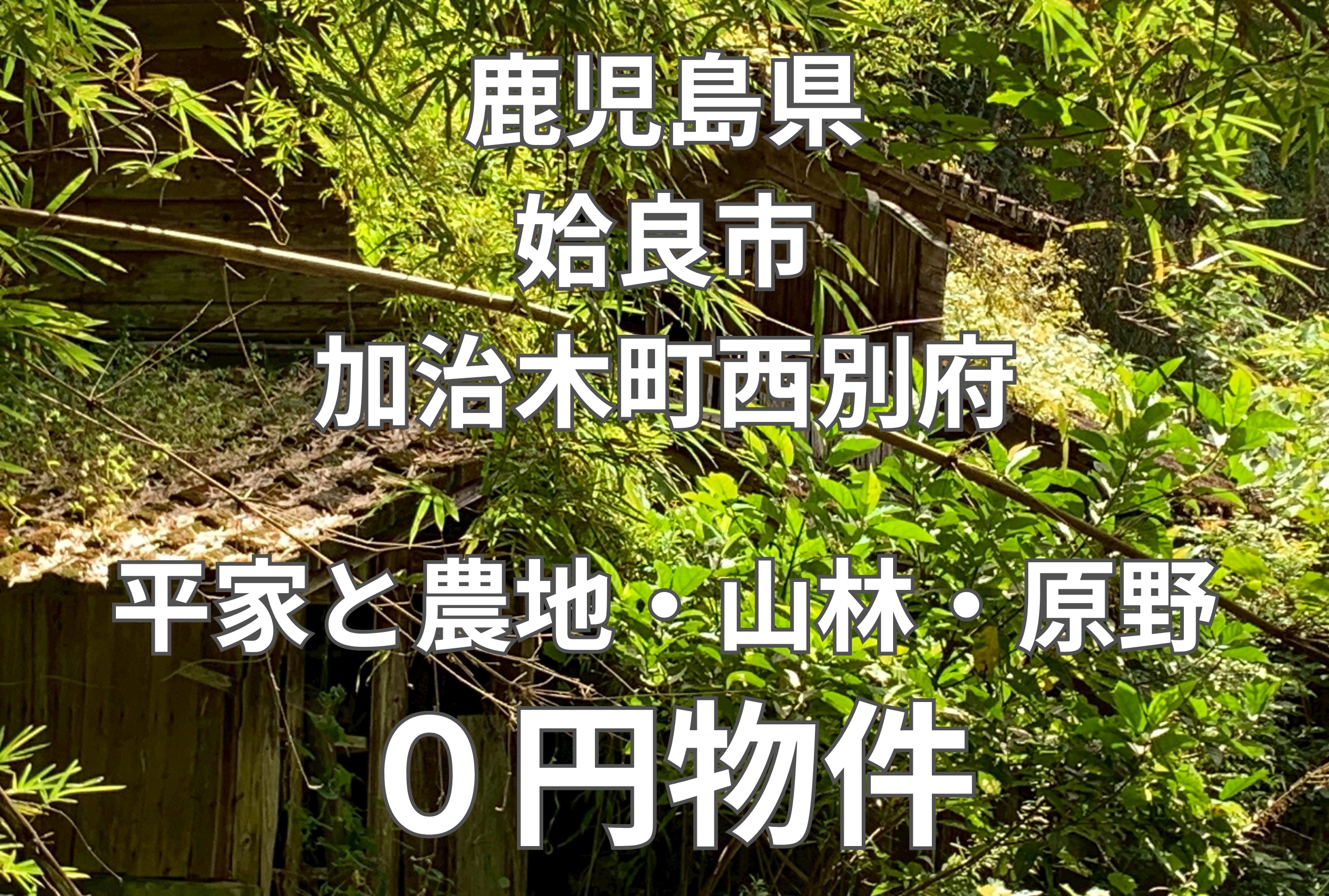 物置付き平家と農地・山林・原野（合計15筆）、お譲りします。